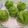 Cooksnap dari Paini Ani untuk resep Bolu kukus pandan magic com serba 7 no mixer