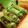Cooksnap dari herlin wulan untuk resep Lemper Bakar