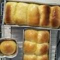 Cooksnap dari Yola Pitaloka untuk resep Roti Tawar  Kenyal Tanpa Mikser