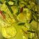 Cooksnap dari Putriayulestari untuk resep Sayur tahu tempe telur santan
