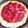 El cooksnap de Valar Morgulis cuando hizo Tarta de nata y fresas.