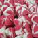 Cooksnap dari Anne untuk resep Bolu Kukus Merah Putih