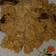 Cooksnap dari Sri Lestari untuk resep Ayam Suwir Kondangan...wajib recook 😍