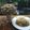 Cooksnap dari Pawon DS untuk resep Roti boy isi cokelat untuk boys