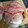 El cooksnap de Mireia Garzas Ortega cuando hizo Pechuga de pollo al horno con bacon y queso.