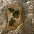 Andy T's cooksnap of when they made Lemon Butter Mint Salmon Fillets.