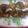 Reena Verbey's cooksnap of when they made Cheese Bengali style baingan bhaja.