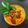 Darshana Patel's cooksnap of when they made Garlic tomato chutney.