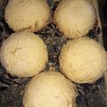 El cooksnap de Yesica Gimenez cuando hizo Chipa So'o.