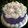 Cooksnap dari Kucingrabbit [ Anny ] untuk resep Butter Cream Lembut,enak ga enegh