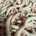 Cooksnap dari Fanz untuk resep Bidaran keju renyah dan sehat (kue gabus)