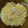 Cooksnap dari Ukhti Ika untuk resep Fettucine Carbonara