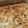 El cooksnap de Norma Benito cuando hizo Torta de manzanas, avena y pasas.