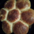 صورة من 🍕أخت وليد كل يوم وصفة 🍕، شاركها بعد تجربة وصفة برييوش بدون بيض