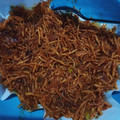 Cooksnap dari Anggun Dwi Lestari untuk resep Kering Kentang Musthofa (asli kriuk, renyah)