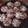 El cooksnap de Oriana Rivero cuando hizo Galletas craqueladas de chocolate con aceite y cacao.