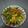 Cooksnap dari Elis Suminar untuk resep Acar Kuning Timun Wortel