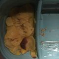 Dancerchef 🩰's cooksnap of when they made Easy Five Ingredient Instant Scalloped Potatoes 🥔 😋🤤.