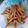 Cooksnap dari Selyna Nurhady untuk resep Teri goreng crispy
