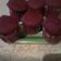 El cooksnap de Mariela cuando hizo Muffins Red velvet o terciopelo rojo.