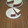 El cooksnap de AntonioAlfa cuando hizo Tarta Guinness.