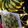 Areeba Muhammed's cooksnap of when they made Easy fruit chat.