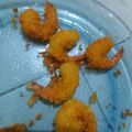 Cooksnap dari Lee Sherly untuk resep Udang tempura