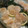 saki1010's cooksnap of when they made ほたてのレモン＆昆布〆.