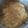 Davda Bhavana's cooksnap of when they made હેલ્ધી ગળ્યો ભાત.