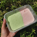 Cooksnap dari fitria untuk resep Es Krim Sawi Hijau