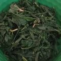 Cooksnap dari isa untuk resep Daun Singkong Rebus (Tips agar Empuk & tetap Hijau)