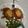 Mike Rockford's cooksnap of when they made Larry's stuffed bell peppers.