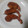 El cooksnap de Rut Borillo cuando hizo Gambas a la gabardina.