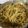 chaitali ghatak का कुकस्नैप जब उन्होंने वेज चाउमीन (veg chowmein recipe in Hindi) बनाया था।