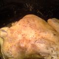 maryt24's cooksnap of when they made Melissa's whole crockpot chicken.
