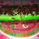 Cooksnap dari meify untuk resep Bolu kukus santan aroma pandan-cokelat