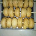 Cooksnap dari yunita jesus untuk resep Donat Ekonomis