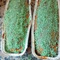 El cooksnap de GRINGA cuando hizo Bizcocho con avena y coco 🥥recubierto de chocolate 🍫 para Navidad🎄.