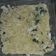 El cooksnap de Melisa Yanini cuando hizo Tallarines con pollo al verdeo ★☆★.