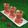 Asmita Rupani's cooksnap of when they made Fruit Punch.
