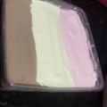 Cooksnap dari Ana Hariyanti untuk resep Ice cream pop ice lembut homemade anti gagal