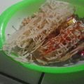 Cooksnap dari Lia Eka Meilyana untuk resep Sarang laba-laba by anak SD kelas 4