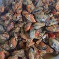 Cooksnap dari Dhea Riana Putri untuk resep Tumis Kerang Hijau Kupas