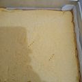 Cooksnap dari Suwartiyah Tia untuk resep Bolu Singkong Panggang
