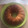 El cooksnap de Beant Devkaur cuando hizo Queque con harina de avena y yogurt! 👩🏼‍🍳.