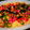 CoolJewel's cooksnap of when they made My Simple Layered Taco Dip.
