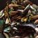 Cooksnap dari Christine Natalia Hartono untuk resep Kerang hijau masak asam manis pedas