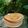 Cooksnap dari Elly Listya untuk resep Fluffy pancake simple