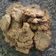 El cooksnap de Mabel Perez cuando hizo Galletas de avena, con bananas molidas, coco rallado y pasas.
