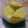 El cooksnap de Sofia Carolina Castillo Villafuerte. cuando hizo Mayonesa de aguacate.